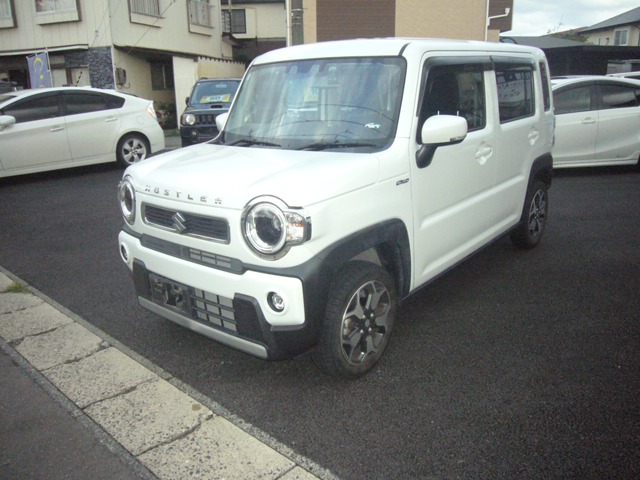 Suzuki Hustler 1