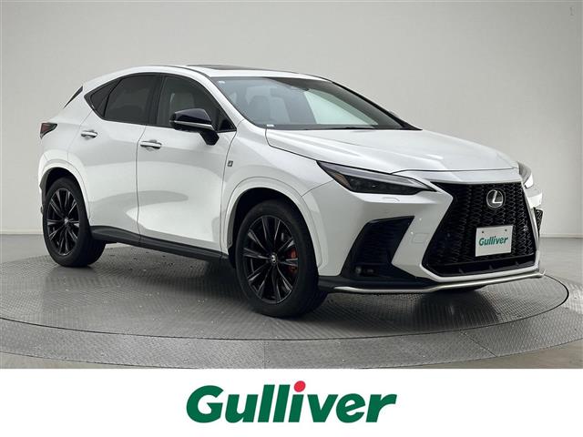 Lexus NX 1