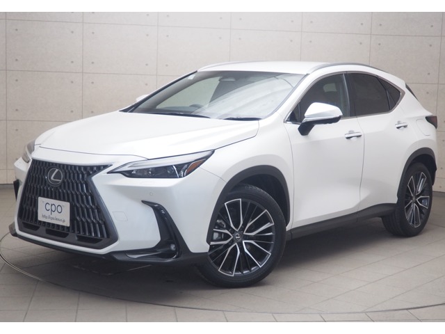 2023 Lexus NX