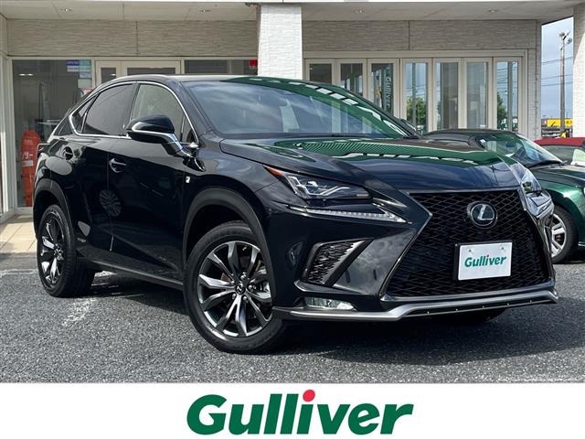 2018 Lexus NX
