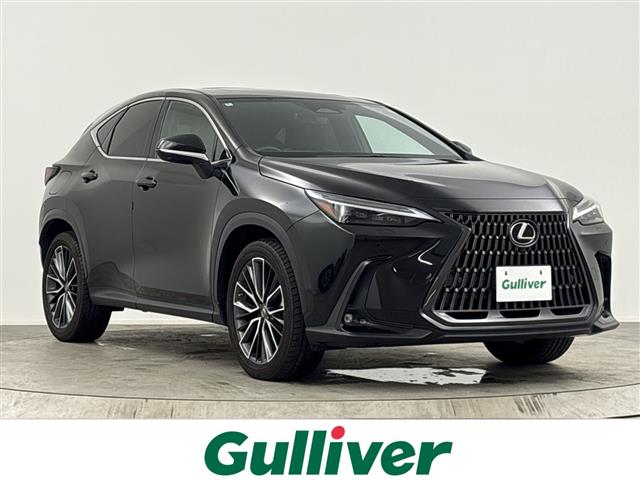 2022 Lexus NX