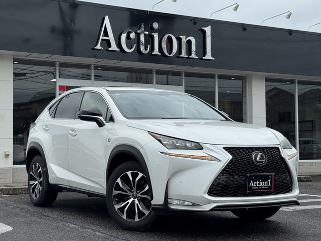 2014 Lexus NX