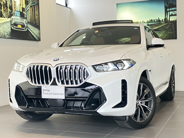 2026 BMW X6