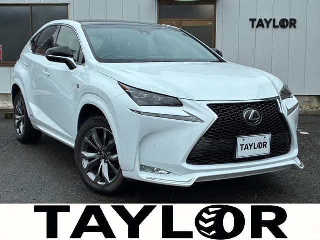 Lexus NX 1