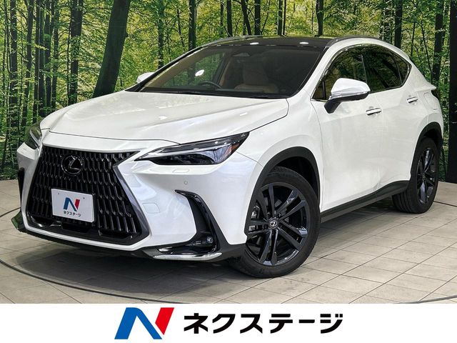 Lexus NX 1