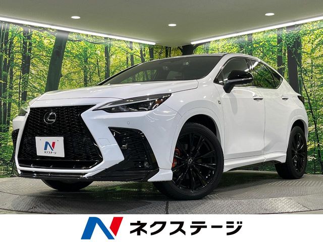 2021 Lexus NX