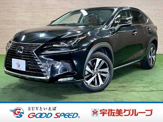 Lexus NX 1