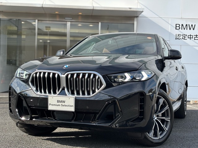 BMW X6 1