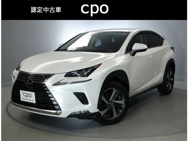 Lexus NX 1