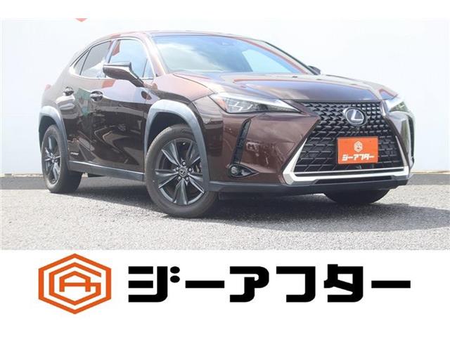 2020 Lexus UX