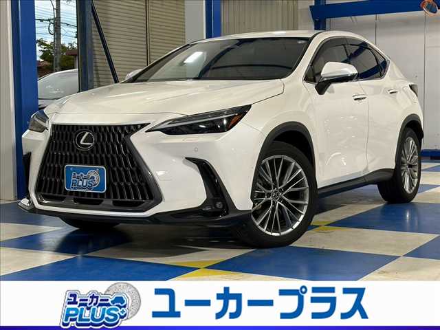 2023 Lexus NX