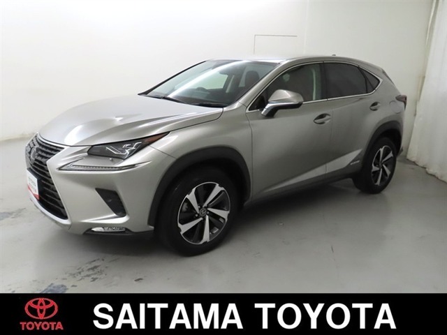 2019 Lexus NX