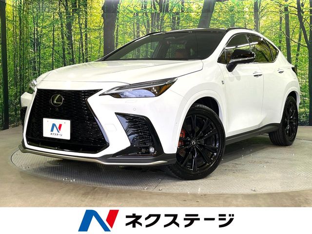 Lexus NX 1