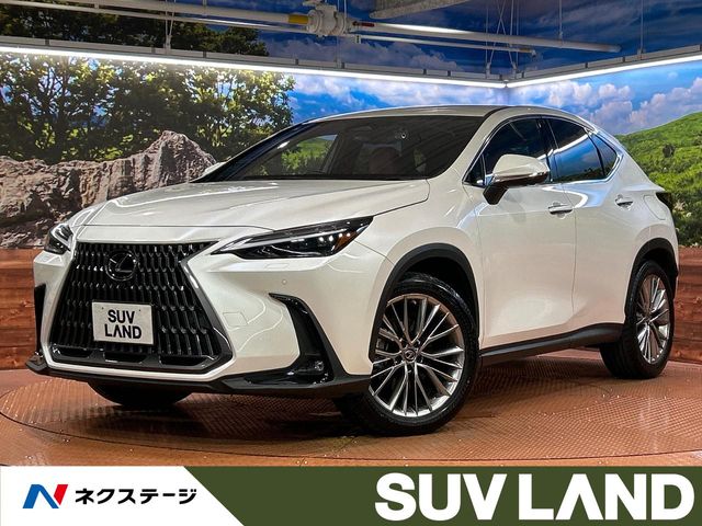 2023 Lexus NX
