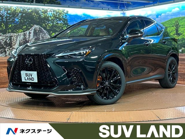 2025 Lexus NX