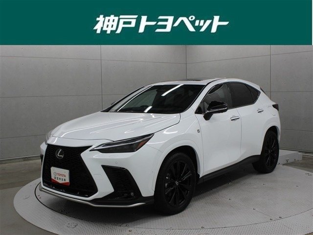 2025 Lexus NX