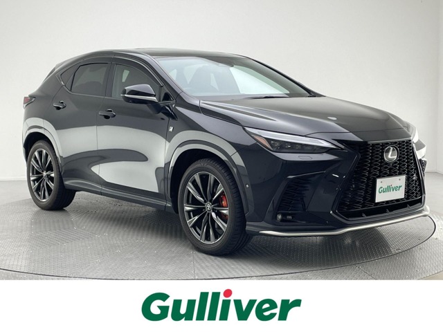 Lexus NX 1