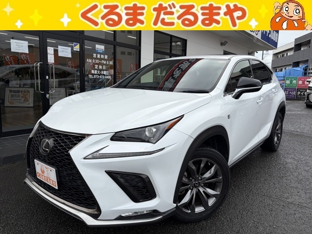 Lexus NX 1