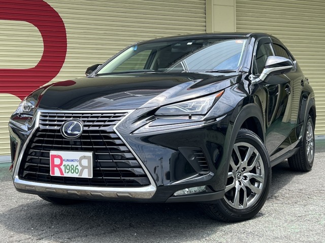 Lexus NX 1