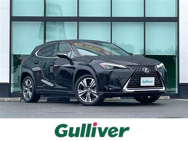 2021 Lexus UX300e