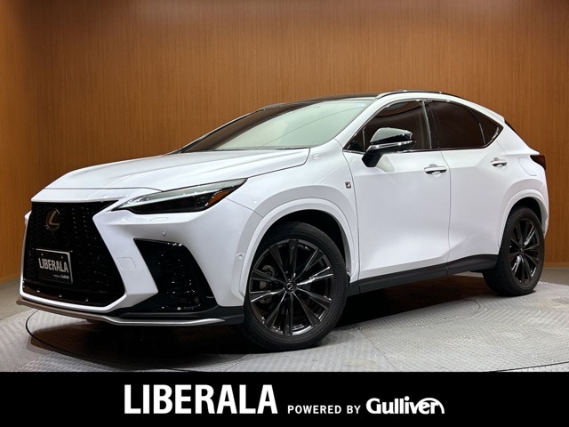 2022 Lexus NX