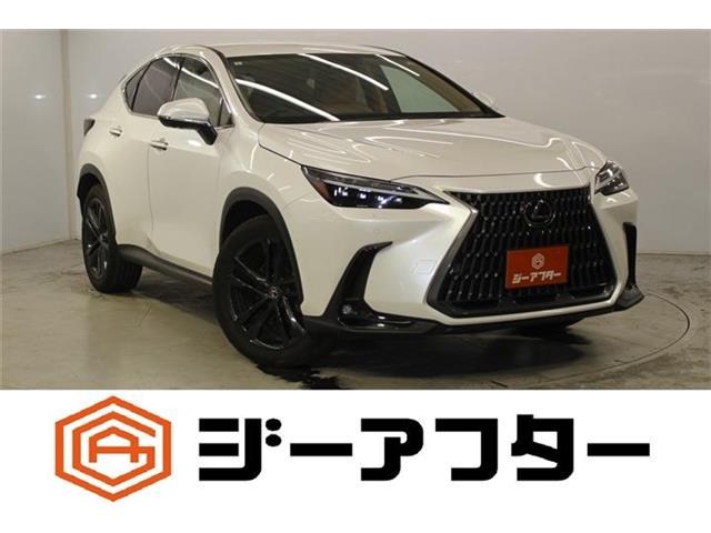 2023 Lexus NX