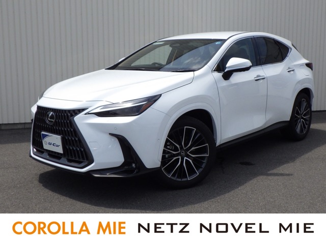 2025 Lexus NX