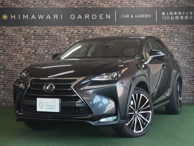 2017 Lexus NX