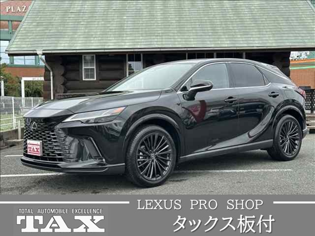 Lexus RX 1
