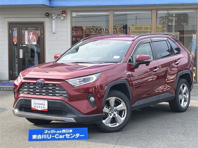 2019 Toyota RAV4
