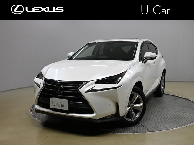 Lexus NX 1