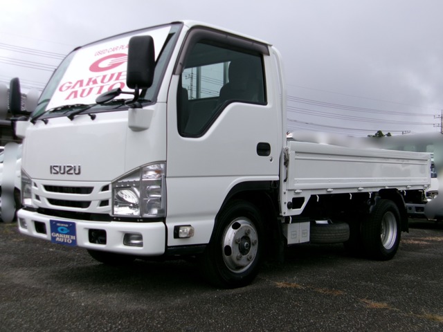 Isuzu Elf 1