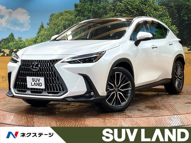 2024 Lexus NX