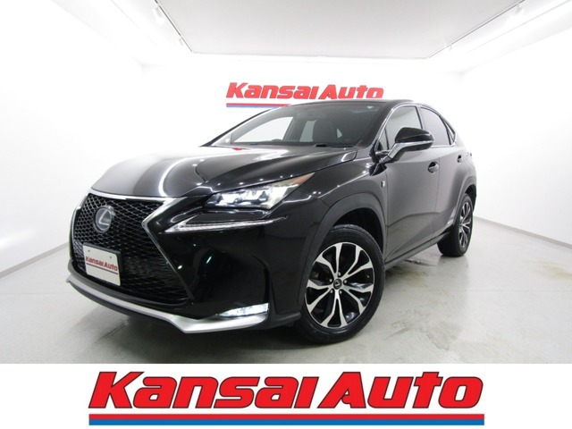 Lexus NX 1