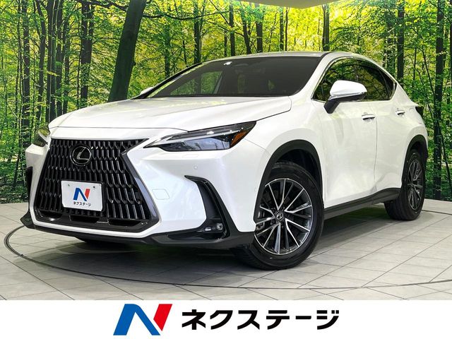 2023 Lexus NX