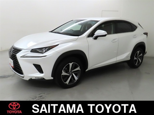 Lexus NX 1