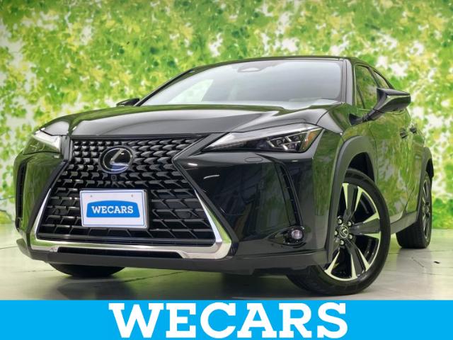 2024 Lexus UX