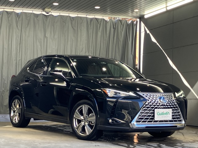 2025 Lexus UX