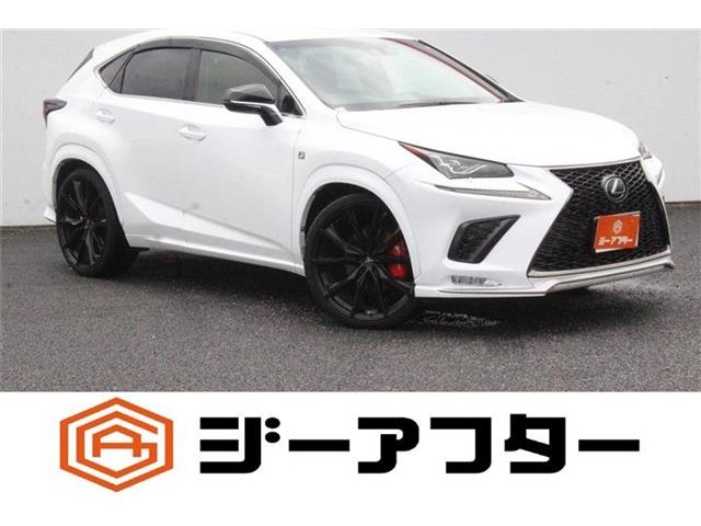 2018 Lexus NX