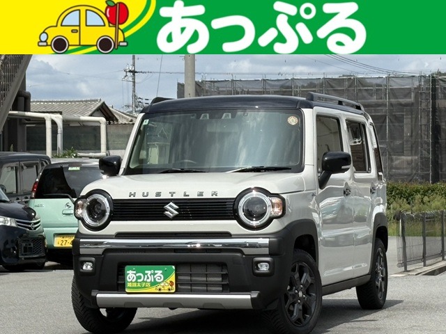 Suzuki Hustler 1