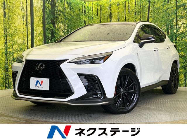 2025 Lexus NX