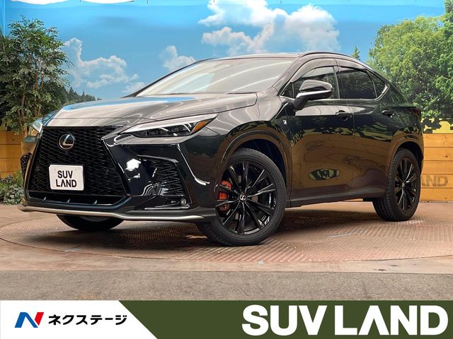2025 Lexus NX