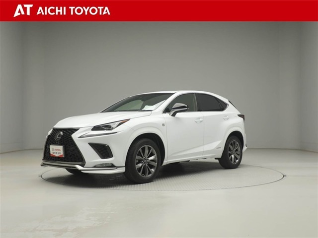 Lexus NX 1