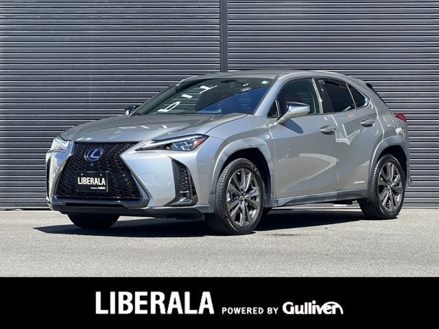 2019 Lexus UX