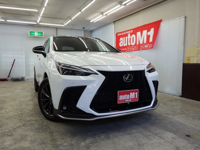 2025 Lexus NX