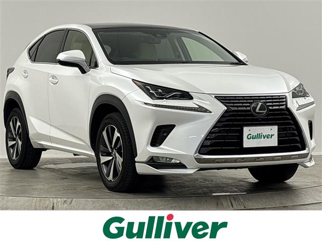 Lexus NX 1