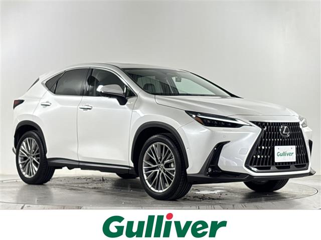 Lexus NX 1