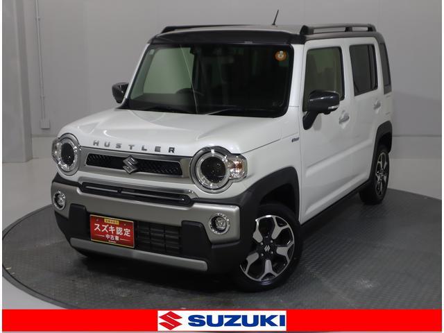 Suzuki Hustler 1