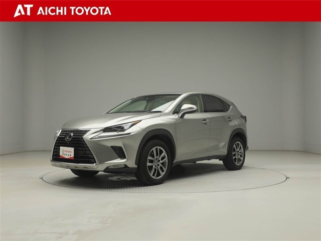 2018 Lexus NX