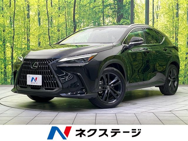 Lexus NX 1
